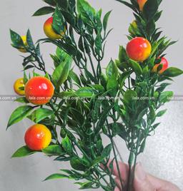 Ảnh sản phẩm