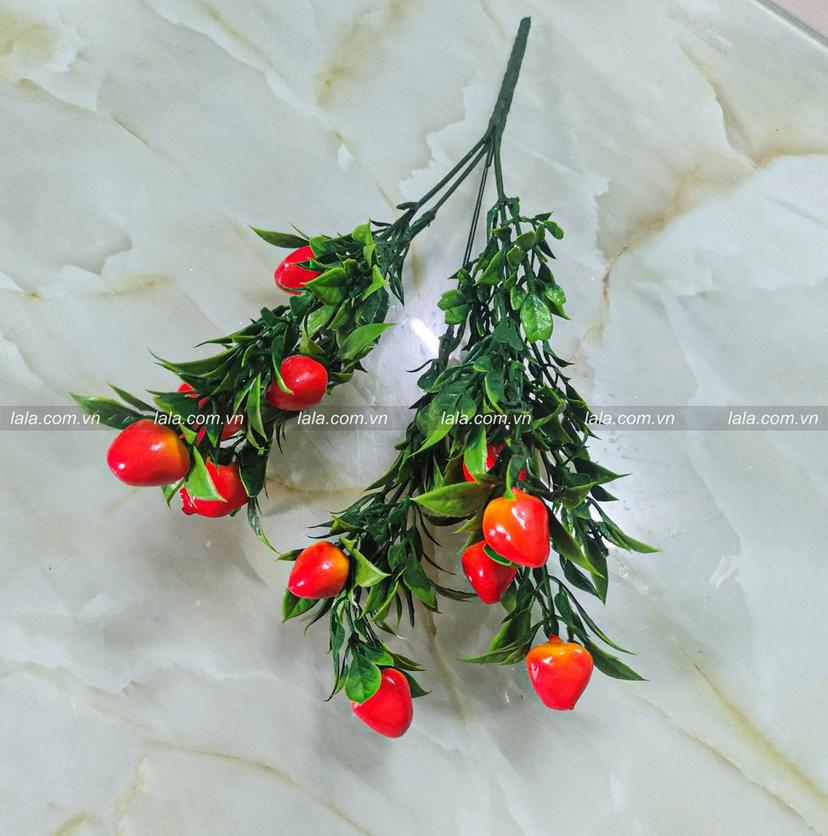 Ảnh sản phẩm