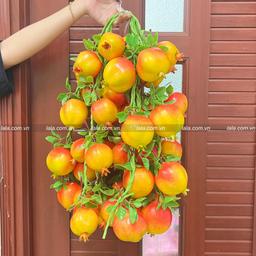 Ảnh sản phẩm
