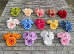 Ảnh sản phẩm