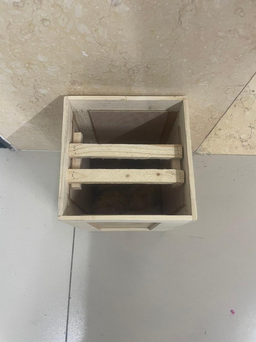 Ảnh sản phẩm
