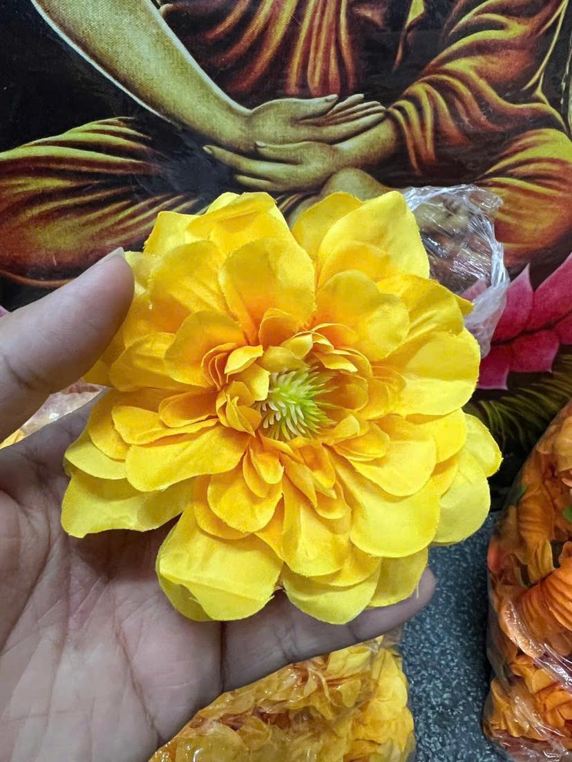Ảnh sản phẩm