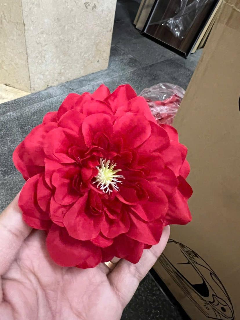 Ảnh sản phẩm