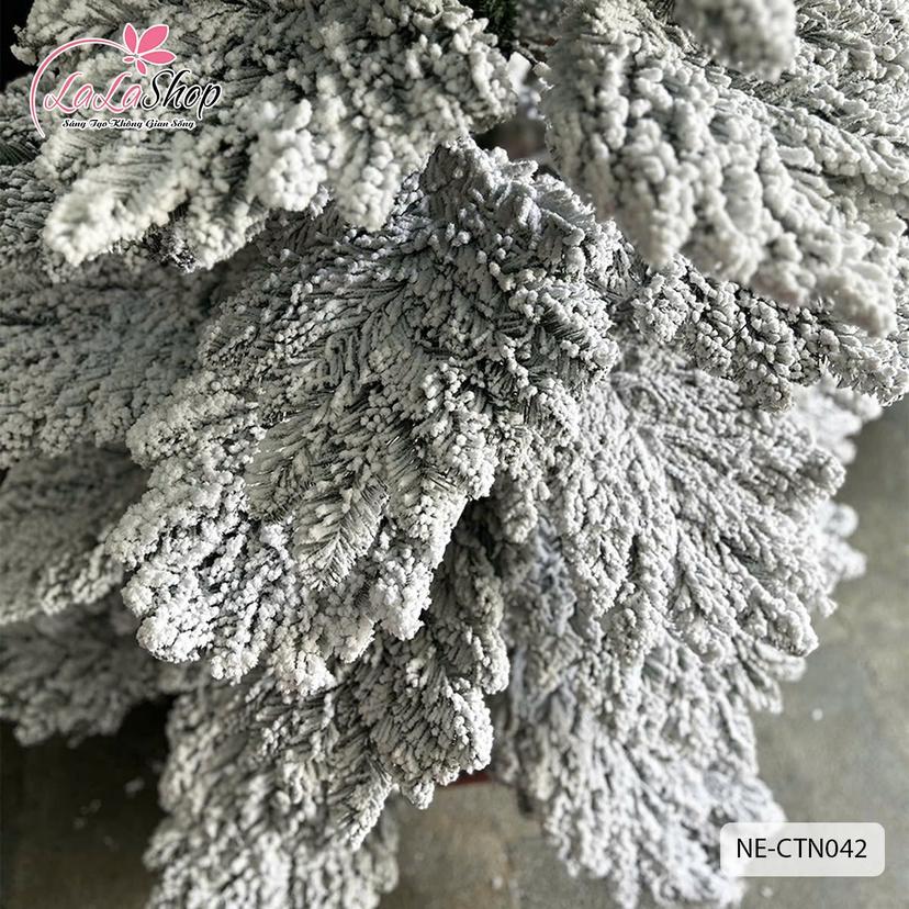 Ảnh sản phẩm