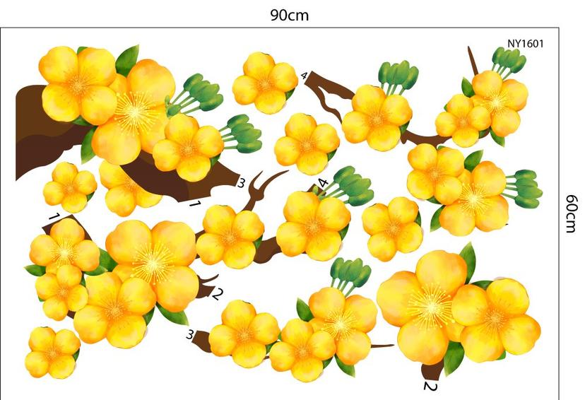 Ảnh sản phẩm
