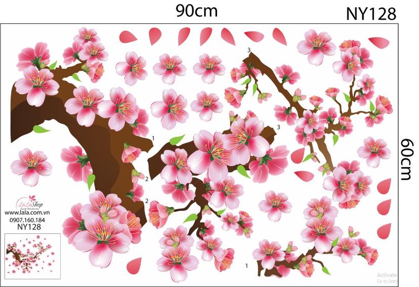 Ảnh sản phẩm
