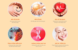 Ảnh sản phẩm