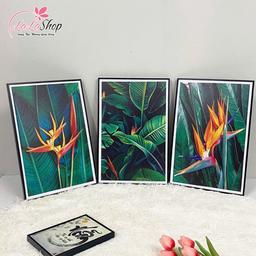 Ảnh sản phẩm