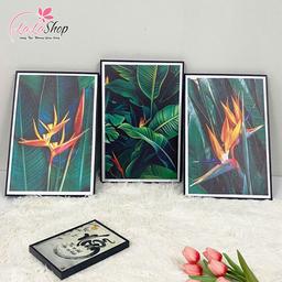 Ảnh sản phẩm