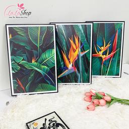 Ảnh sản phẩm