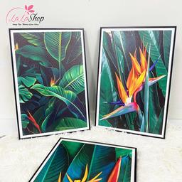 Ảnh sản phẩm