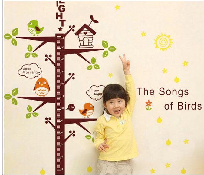 Decal dán tường thước đo cây xanh và chim non