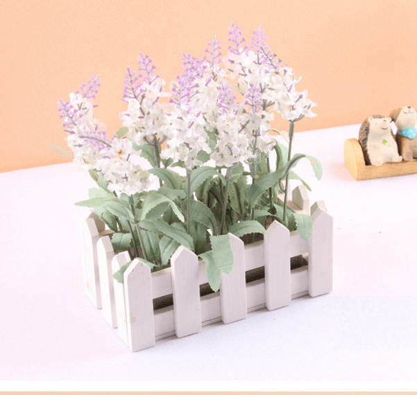 Hàng rào lavender chữ nhật