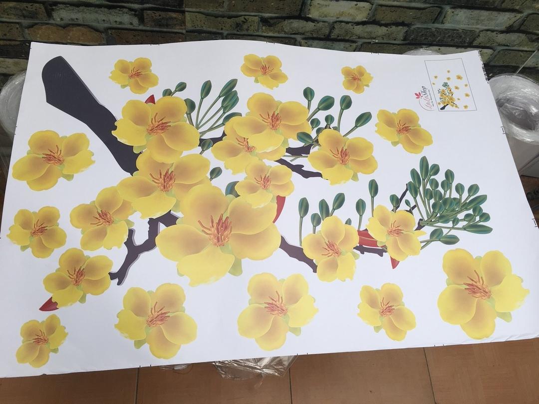 Decal mai vàng đón lộc đầu năm 6
