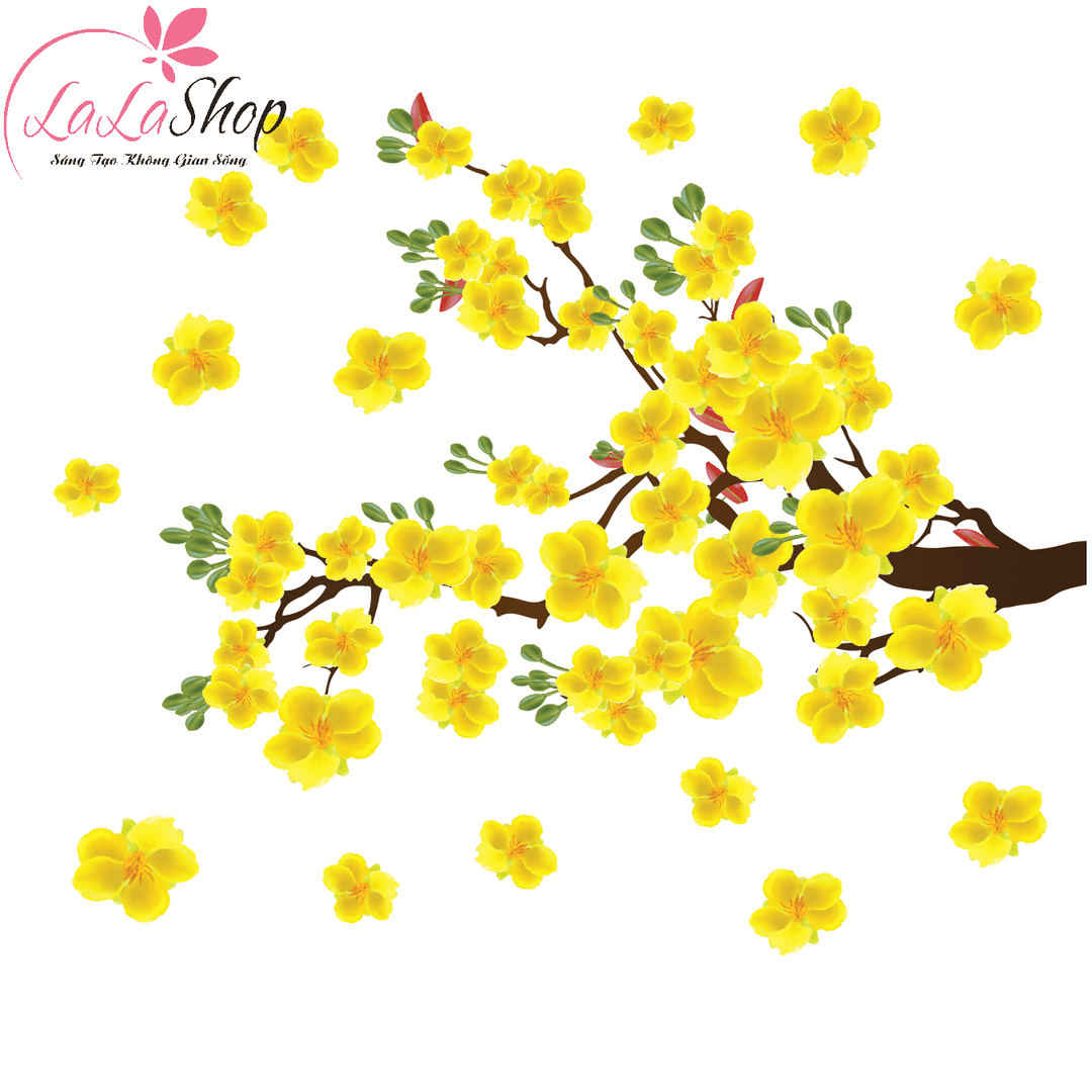 Decal mai vàng đón lộc đầu năm 8 (HN)