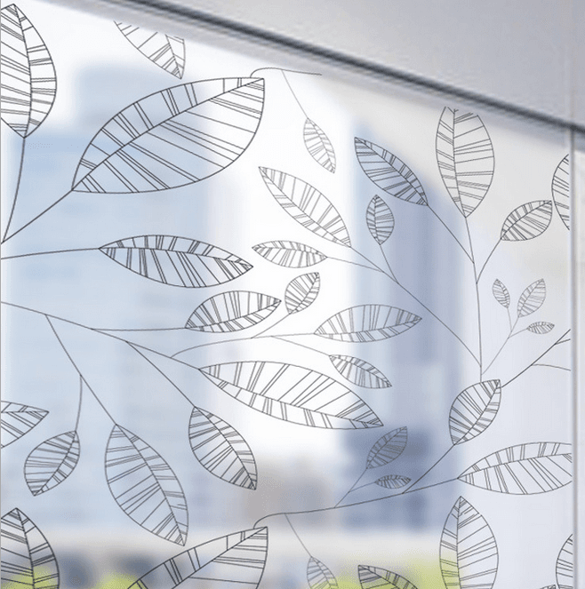 Decal dán kính lá viền đen