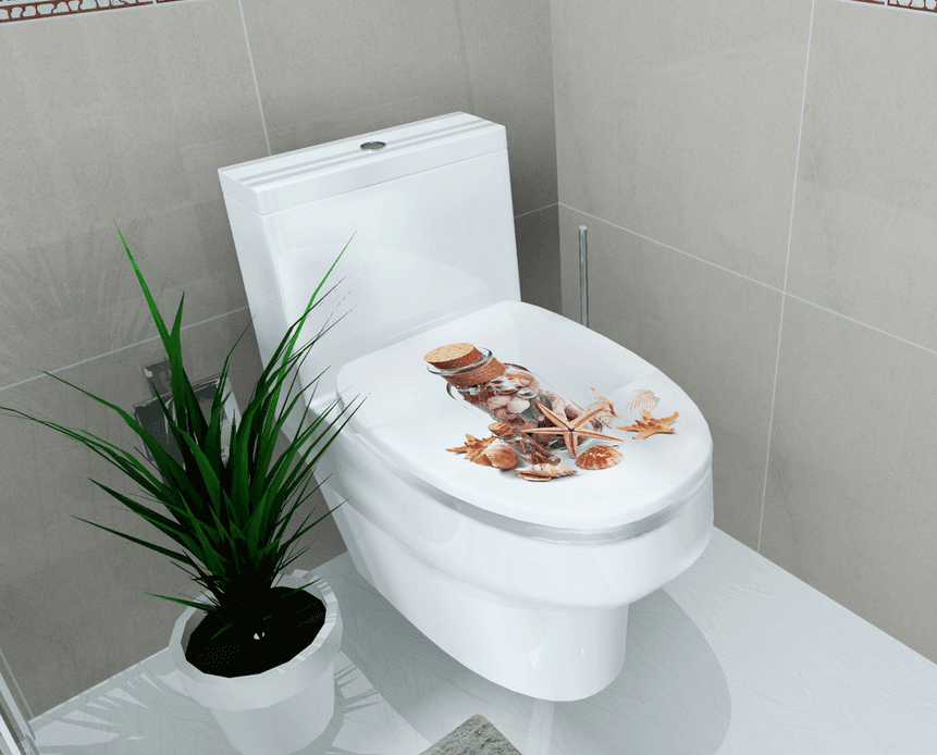 Dán toilet lọ sao biển