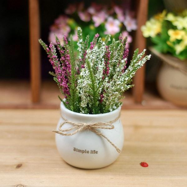 Chậu nhỏ hoa lavender