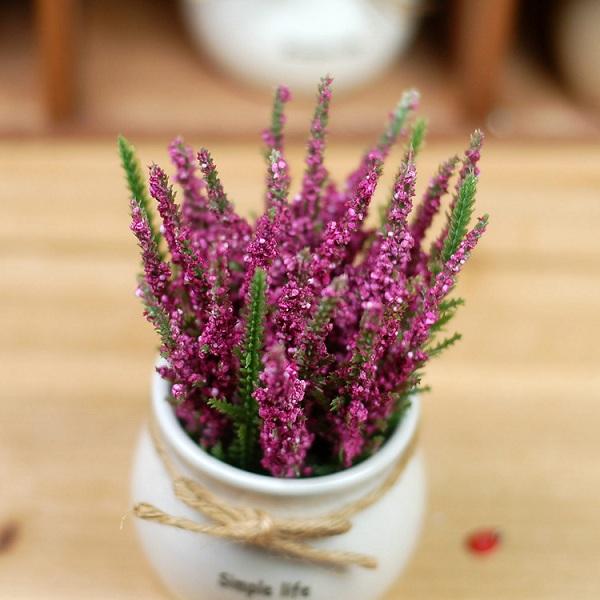 Chậu nhỏ hoa lavender