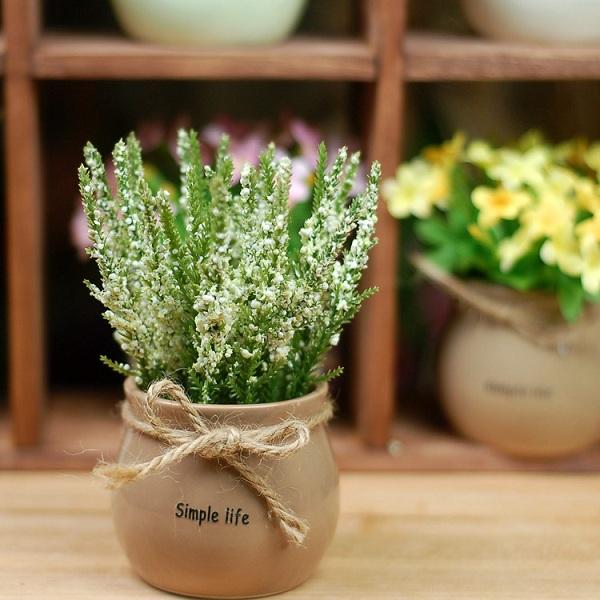 Chậu nhỏ hoa lavender