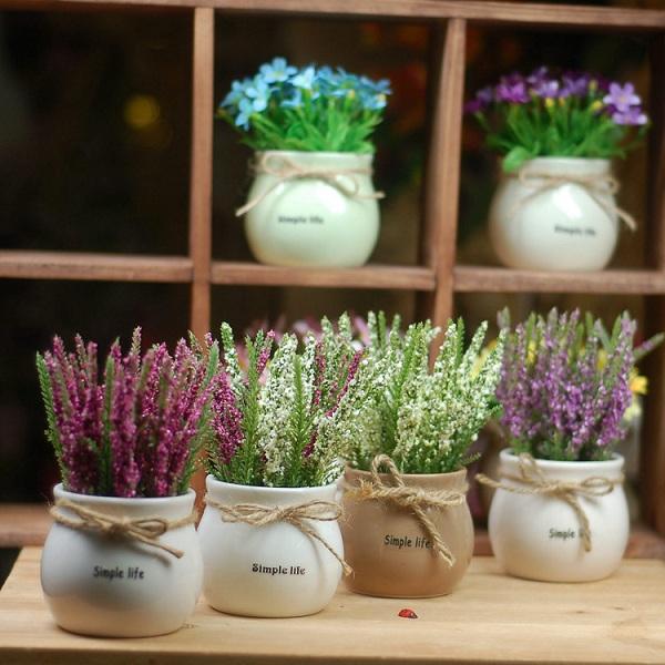 Chậu nhỏ hoa lavender