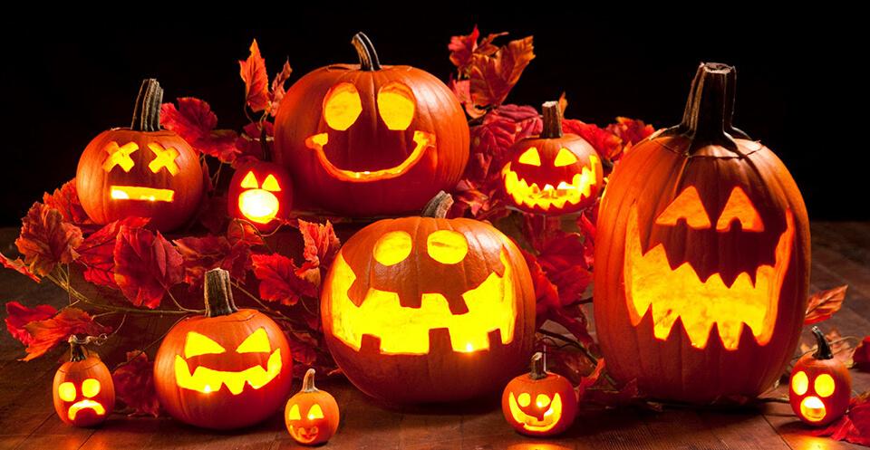 Ý nghĩa quả bí ngô halloween là gì và mua quả bí ngô halloween ở đâu giá rẻ ở TpHCM