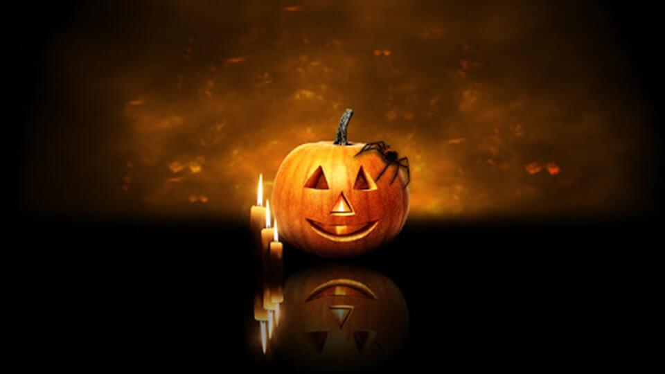 Ý nghĩa quả bí ngô halloween là gì và mua quả bí ngô halloween ở đâu giá rẻ ở TpHCM