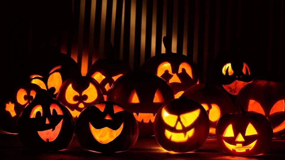 Ý nghĩa quả bí ngô halloween là gì và mua quả bí ngô halloween ở đâu giá rẻ ở TpHCM