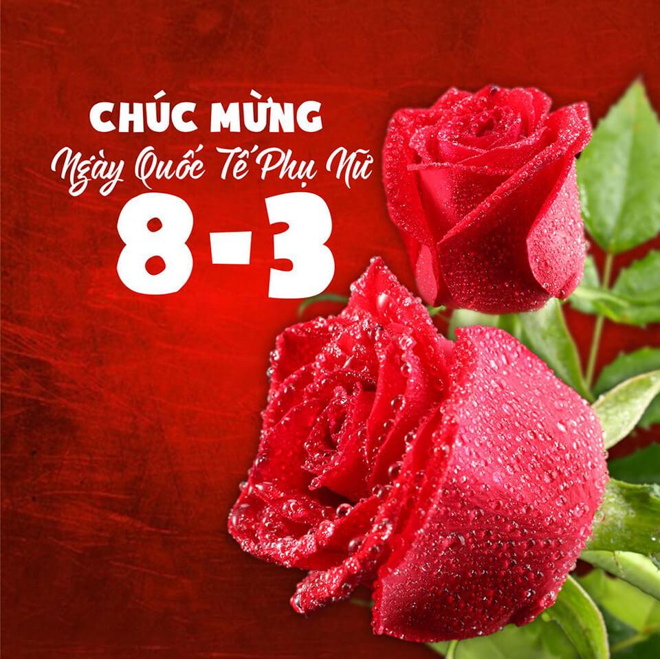 Hình ảnh 8/3 -Hình ảnh banner, background 8/3 png đẹp nhất mẫu 4