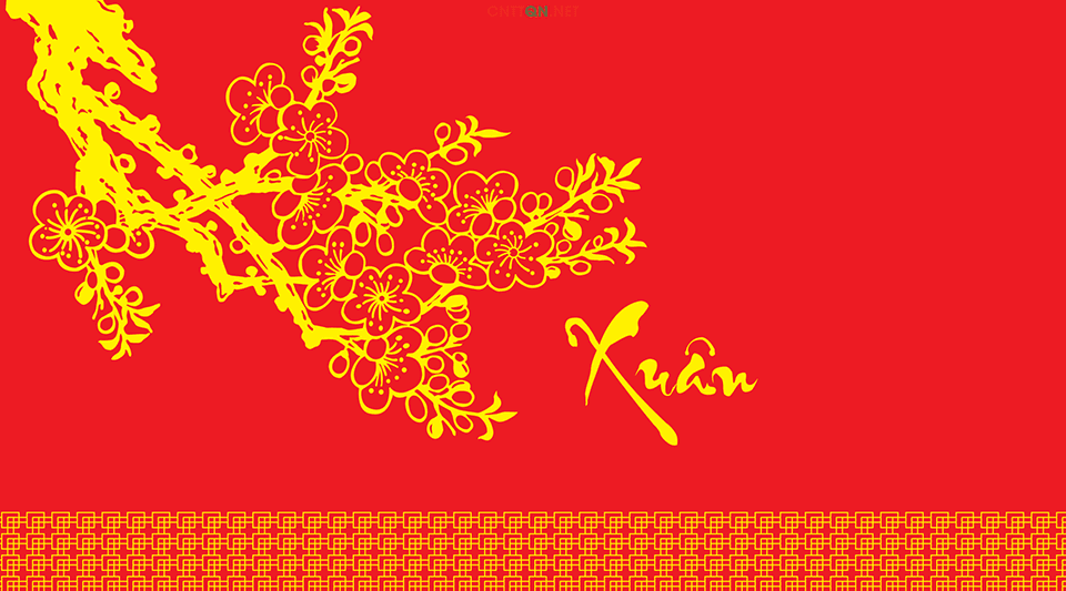 background-hoa-mai-3-62874b1960361e645497c862ad2eb08f