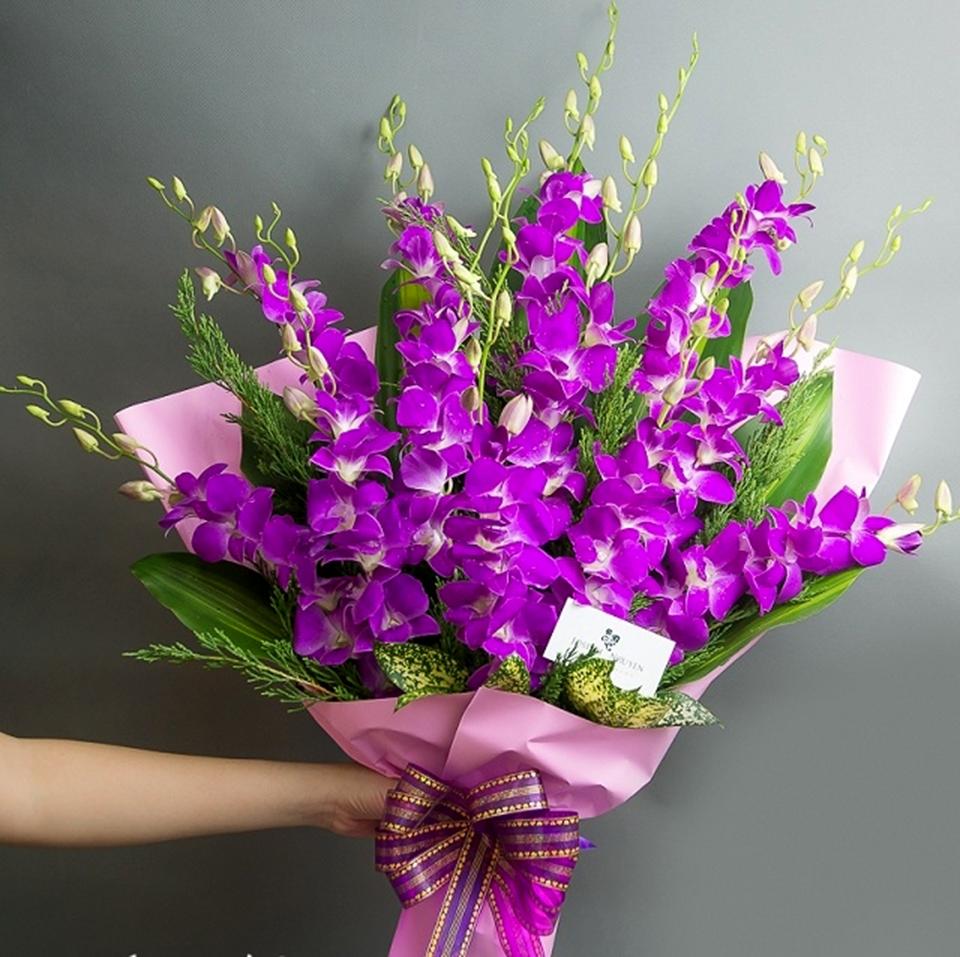 Hoa lan – Sự lựa chọn hoàn hảo cho món quà tặng tốt nghiệp cho nam