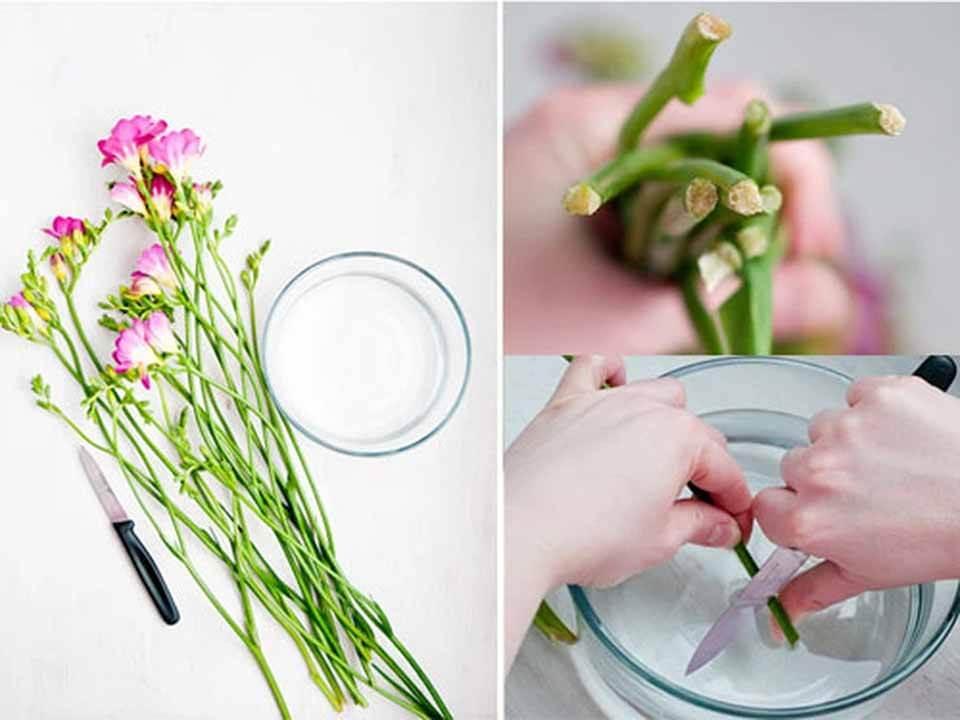 Cắm hoa đừng dùng nước lã, thêm thứ này vào hoa nở đều, rực rỡ chơi hết cả Tết