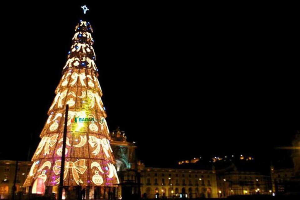 Tổng hợp những hình ảnh cây thông noel chất lượng cao đẹp nhất 2025