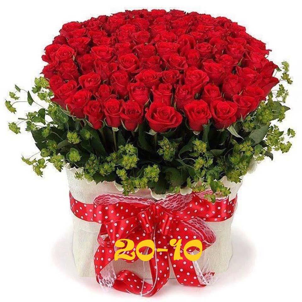 Bộ hình ảnh chúc mừng ngày 20/10 đẹp, độc đáo và ý nghĩa nhất 2025