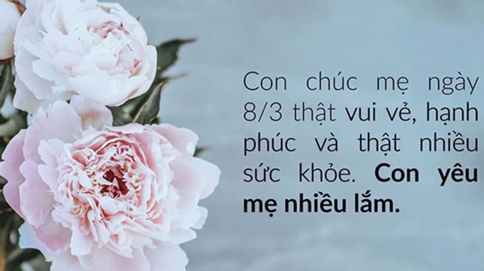 Lời chúc 8/3 dành cho mẹ mang về nhiều ý nghĩa bởi thế hiện sự biết ơn