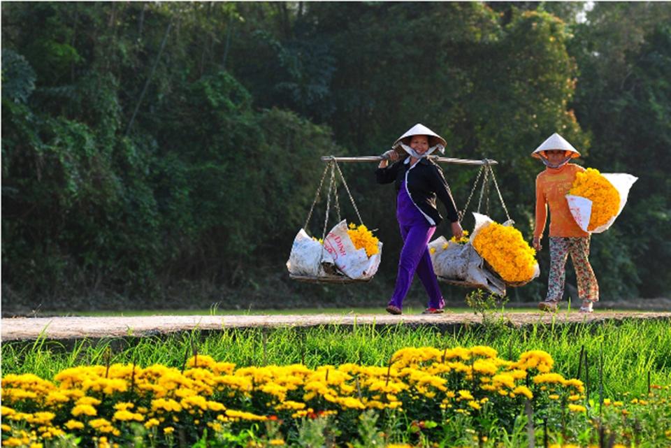 Tổng hợp những hình ảnh ngày Tết Nguyên Đán Giáp Thìn đẹp nhất 2024