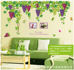 Ảnh sản phẩm