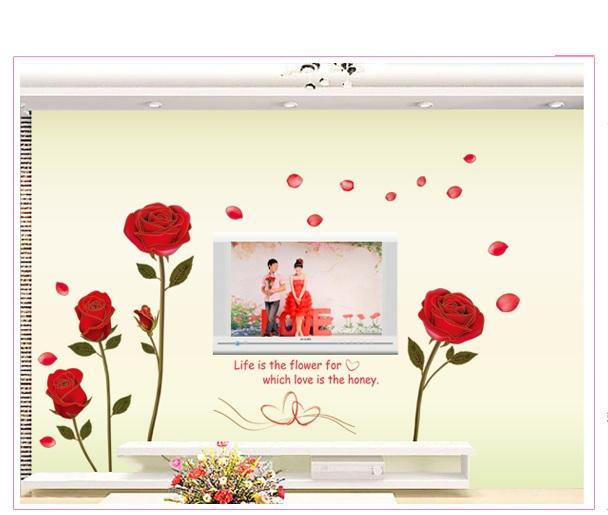 Ảnh sản phẩm