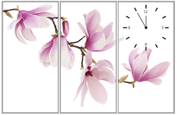 Ảnh sản phẩm