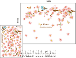 Ảnh sản phẩm