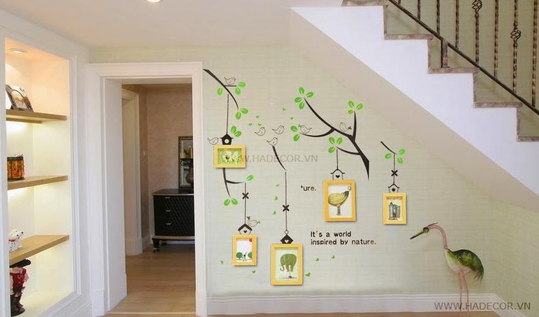 Ảnh sản phẩm