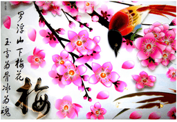 Ảnh sản phẩm
