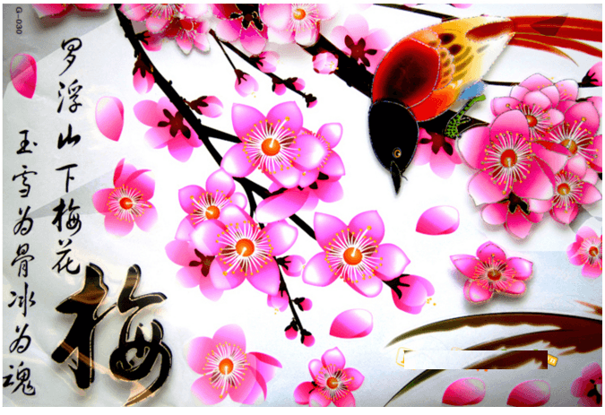 Ảnh sản phẩm