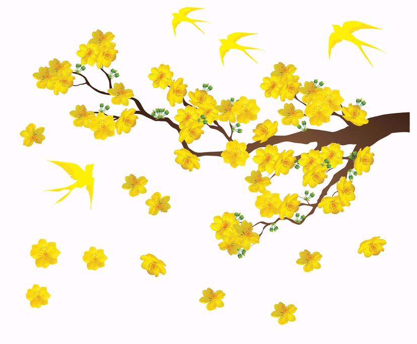 Ảnh sản phẩm