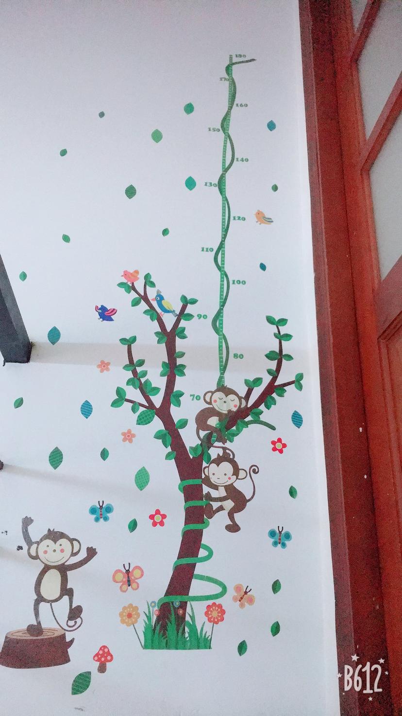 Ảnh sản phẩm