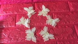 Ảnh sản phẩm