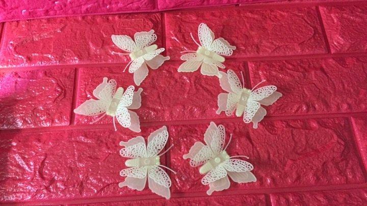 Ảnh sản phẩm