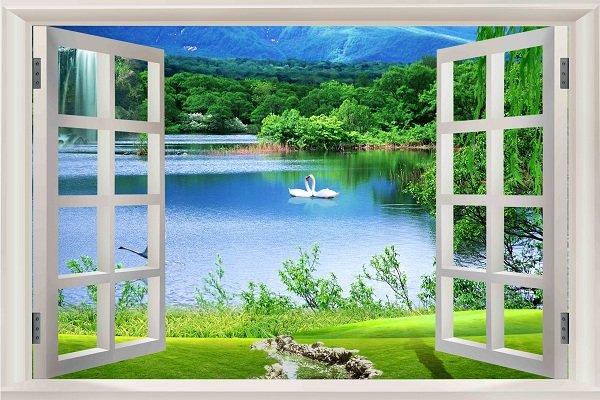 Ảnh sản phẩm