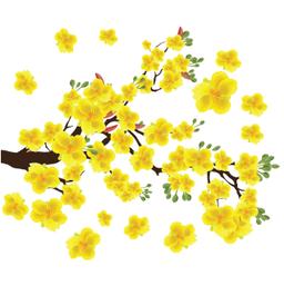 Ảnh sản phẩm