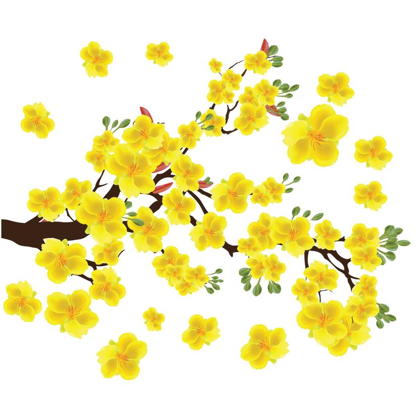 Ảnh sản phẩm